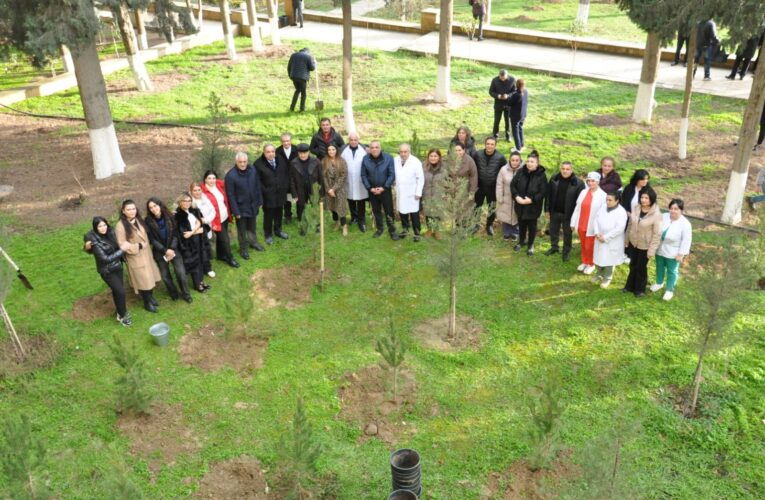 “Yaşıl dünya naminə həmrəylik ili” çərçivəsində  növbəti ağacəkmə aksiyası keçirilib